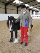 Image 140 in BROADS EQUESTRIAN CENTRE. 10TH NOVEMBER 2018