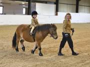 Image 144 in BROADS EQUESTRIAN CENTRE. 10TH NOVEMBER 2018