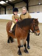 Image 152 in BROADS EQUESTRIAN CENTRE. 10TH NOVEMBER 2018