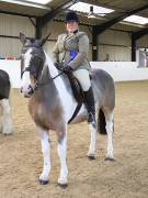 Image 167 in BROADS EQUESTRIAN CENTRE. 10TH NOVEMBER 2018