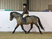 Image 192 in BROADS EQUESTRIAN CENTRE. 10TH NOVEMBER 2018