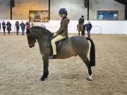 Image 193 in BROADS EQUESTRIAN CENTRE. 10TH NOVEMBER 2018