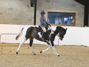 Image 202 in BROADS EQUESTRIAN CENTRE. 10TH NOVEMBER 2018