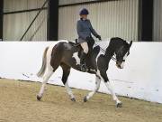 Image 203 in BROADS EQUESTRIAN CENTRE. 10TH NOVEMBER 2018