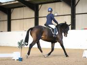 DRESSAGE AT BROADS EC. 18TH NOVEMBER 2018