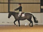 Image 100 in DRESSAGE AT BROADS EC. 18TH NOVEMBER 2018