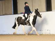 Image 101 in DRESSAGE AT BROADS EC. 18TH NOVEMBER 2018