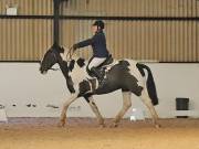 Image 102 in DRESSAGE AT BROADS EC. 18TH NOVEMBER 2018