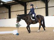 Image 112 in DRESSAGE AT BROADS EC. 18TH NOVEMBER 2018