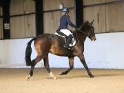 Image 115 in DRESSAGE AT BROADS EC. 18TH NOVEMBER 2018