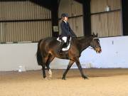 Image 117 in DRESSAGE AT BROADS EC. 18TH NOVEMBER 2018