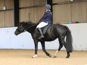 Image 12 in DRESSAGE AT BROADS EC. 18TH NOVEMBER 2018