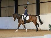 Image 121 in DRESSAGE AT BROADS EC. 18TH NOVEMBER 2018