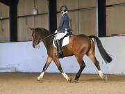 Image 122 in DRESSAGE AT BROADS EC. 18TH NOVEMBER 2018