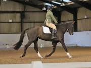 Image 124 in DRESSAGE AT BROADS EC. 18TH NOVEMBER 2018