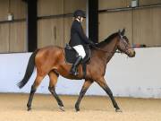 Image 13 in DRESSAGE AT BROADS EC. 18TH NOVEMBER 2018