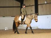 Image 133 in DRESSAGE AT BROADS EC. 18TH NOVEMBER 2018