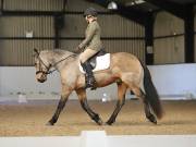 Image 134 in DRESSAGE AT BROADS EC. 18TH NOVEMBER 2018