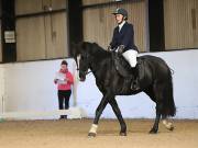 Image 14 in DRESSAGE AT BROADS EC. 18TH NOVEMBER 2018