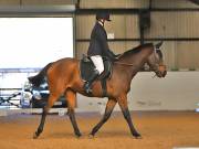 Image 15 in DRESSAGE AT BROADS EC. 18TH NOVEMBER 2018