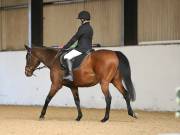 Image 18 in DRESSAGE AT BROADS EC. 18TH NOVEMBER 2018