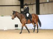 Image 19 in DRESSAGE AT BROADS EC. 18TH NOVEMBER 2018