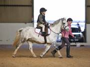 Image 2 in DRESSAGE AT BROADS EC. 18TH NOVEMBER 2018