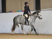 Image 21 in DRESSAGE AT BROADS EC. 18TH NOVEMBER 2018