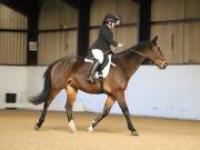 Image 23 in DRESSAGE AT BROADS EC. 18TH NOVEMBER 2018