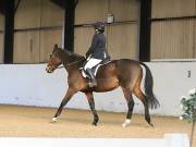 Image 25 in DRESSAGE AT BROADS EC. 18TH NOVEMBER 2018