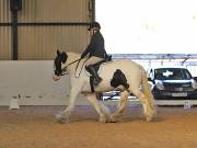 Image 27 in DRESSAGE AT BROADS EC. 18TH NOVEMBER 2018