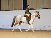 Image 39 in DRESSAGE AT BROADS EC. 18TH NOVEMBER 2018