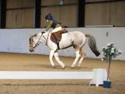Image 42 in DRESSAGE AT BROADS EC. 18TH NOVEMBER 2018