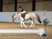 Image 42 in DRESSAGE AT BROADS EC. 18TH NOVEMBER 2018