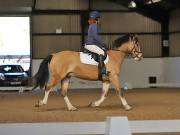 Image 48 in DRESSAGE AT BROADS EC. 18TH NOVEMBER 2018