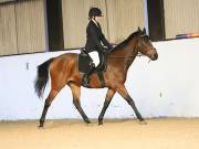 Image 49 in DRESSAGE AT BROADS EC. 18TH NOVEMBER 2018