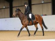 Image 56 in DRESSAGE AT BROADS EC. 18TH NOVEMBER 2018