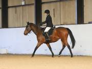 Image 57 in DRESSAGE AT BROADS EC. 18TH NOVEMBER 2018