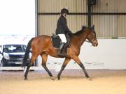 Image 60 in DRESSAGE AT BROADS EC. 18TH NOVEMBER 2018