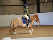 Image 7 in DRESSAGE AT BROADS EC. 18TH NOVEMBER 2018