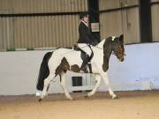 Image 72 in DRESSAGE AT BROADS EC. 18TH NOVEMBER 2018