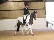 Image 73 in DRESSAGE AT BROADS EC. 18TH NOVEMBER 2018