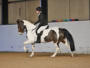 Image 74 in DRESSAGE AT BROADS EC. 18TH NOVEMBER 2018