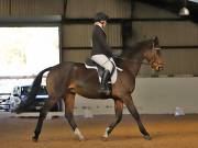 Image 77 in DRESSAGE AT BROADS EC. 18TH NOVEMBER 2018