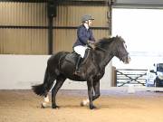 Image 8 in DRESSAGE AT BROADS EC. 18TH NOVEMBER 2018