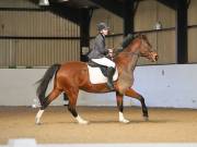 Image 81 in DRESSAGE AT BROADS EC. 18TH NOVEMBER 2018