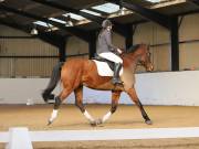 Image 82 in DRESSAGE AT BROADS EC. 18TH NOVEMBER 2018