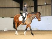 Image 84 in DRESSAGE AT BROADS EC. 18TH NOVEMBER 2018