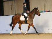 Image 85 in DRESSAGE AT BROADS EC. 18TH NOVEMBER 2018