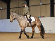 Image 87 in DRESSAGE AT BROADS EC. 18TH NOVEMBER 2018